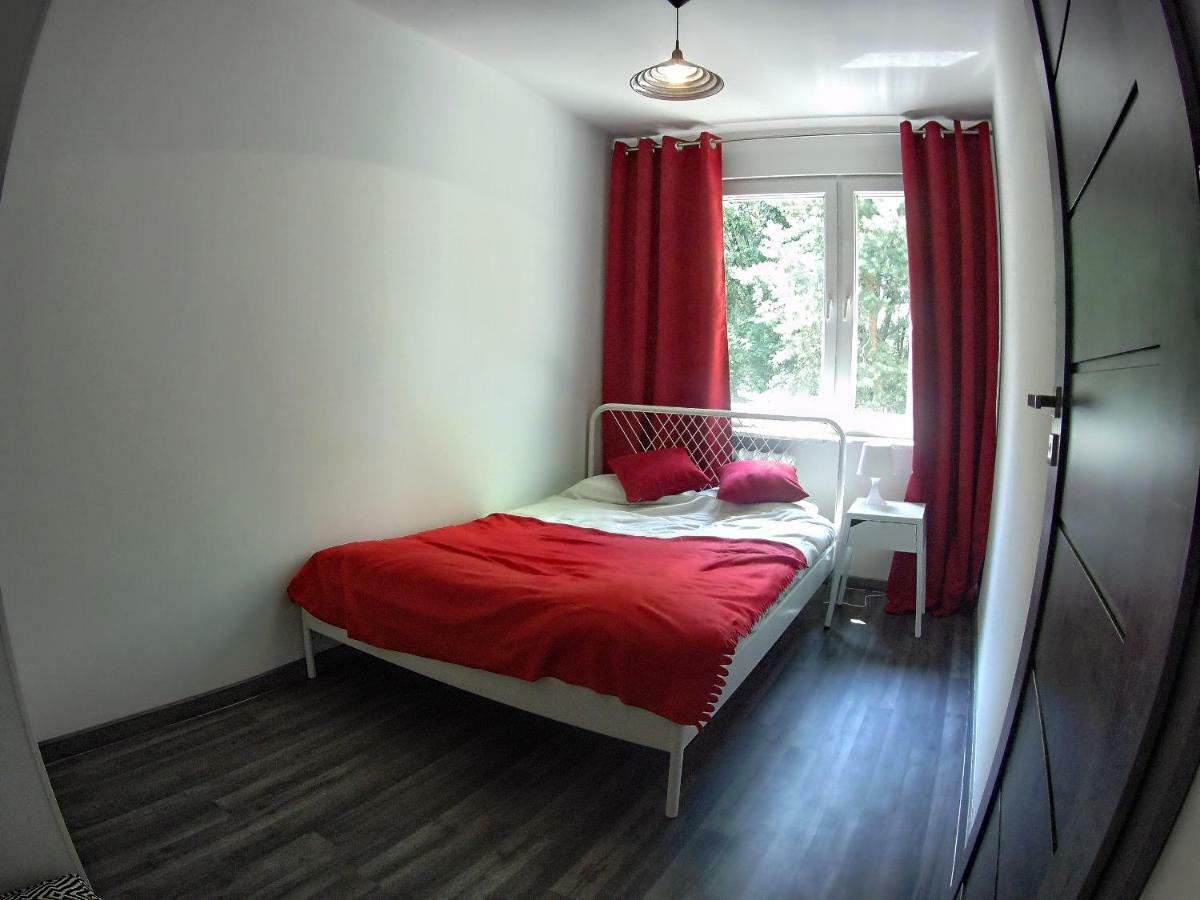 Apartment Antek Krasków Dış mekan fotoğraf